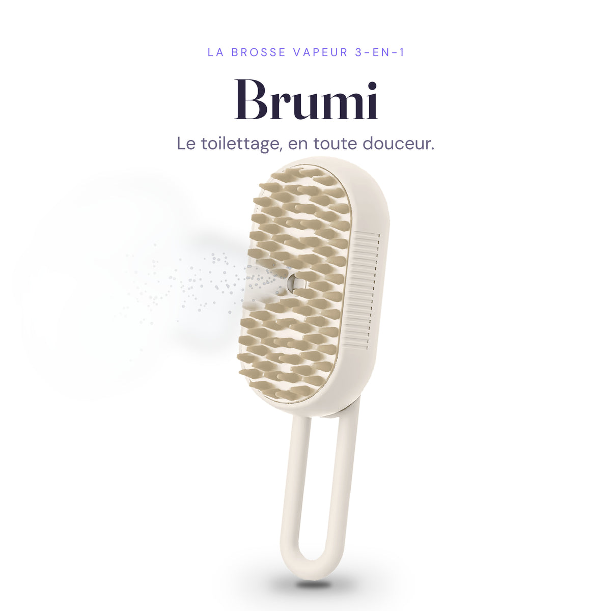 Brosse vapeur Brumi coloris Blanc nuage