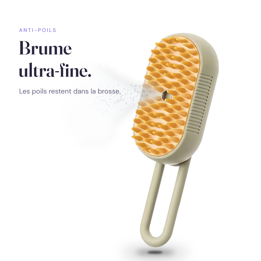 Brosse anti-poils Brumi avec sa brume