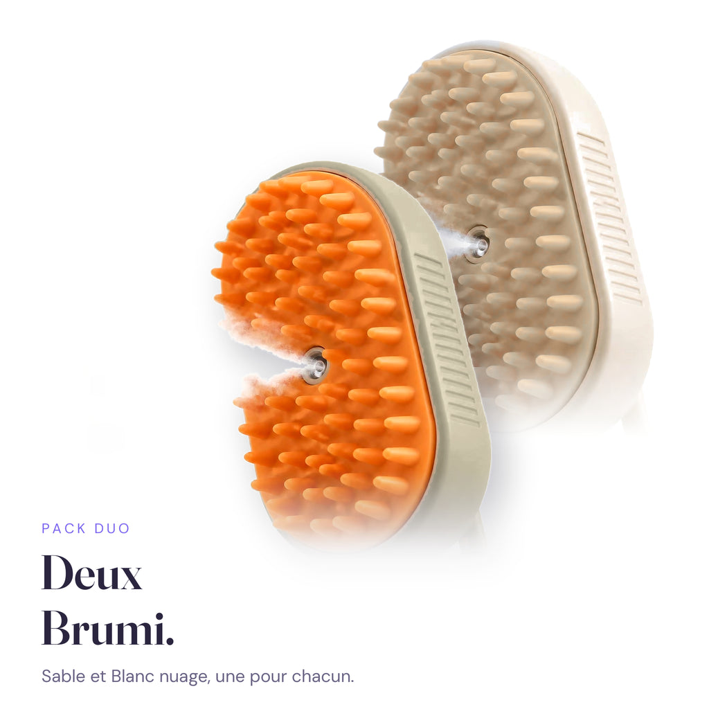 Gros plan Pack Duo Brumi